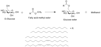 Frontiers Integrated Process For The Enzymatic Production Of Fatty Acid Sugar Esters Completely Based On Lignocellulosic Substrates Chemistry