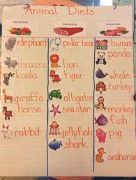 Learning What Animals Are Herbivores Carnivores And Omnivores Students Helped T Herbivore And Carnivore Omnivores Activities Carnivores Herbivores Omnivores