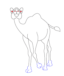 Draw this cute camel by following this drawing lesson. How To Draw Eyelashes Cartoon How To Images Collection