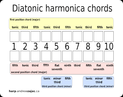Custom Harmonicas By Andrew Zajac Custom Diatonic