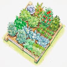 plans for vegetable gardens better