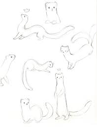 Some Weasel Doodles Inspired By My Company S Logo Http Finji Co Animal Sketches Animal Drawings Sketches