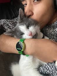 Found another friend! ID please? Belchertown, MA