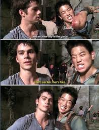 Pin On Maze Runner