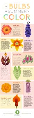Codewalker kim / eyeem getty images. Best Bulbs For Summer Flowers