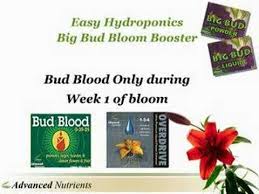 Advanced Nutrients Bud Blood Liquid Fertilizer