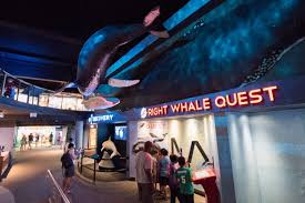 Check spelling or type a new query. Rainy Day Activities In Wilmington Nc Wilmington Nc Com