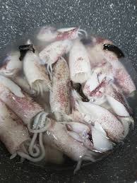 We did not find results for: Masak Sotong Saiznya Tak Mengecut Elak Hanyir Rebus Sekejap Dengan Asam Keping Mingguan Wanita