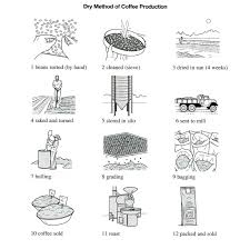 The Illustrations Below Show How Coffee Is Sometimes Produce