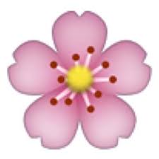 Egd Ia1 Whatsapp Flower Emoji Edited During Assignment Used In Layers Fleur De Cerisier Emoticone Fleurs