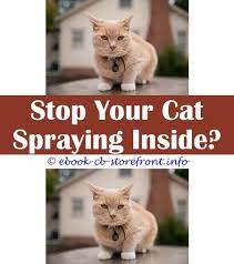 14 Striking Cat Pee Spraying Stop Cat Spray Cats Male Cat Spraying