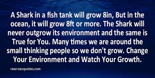 The ultimate fish puns collection 2020 fishkeeping world. Change Your Environment And Watch Your Growth Motivational Shark Quotes