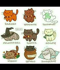 Harry Potter Cat Harry Potter Cat Cute Harry Potter Harry Potter Drawings
