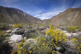 Image result for Anza Desert 2021 Fisker