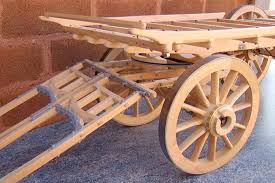 My Draft Horse Interests Panosundaki Pin