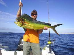 dorado fish in cabo mexico cabo san lucas resort fishing women dorado fish