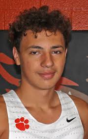 Runners from Waverly, Eastern and Piketon qualify for regional cross  country meet