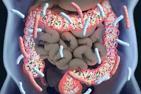 Image result for Fecal Transfer