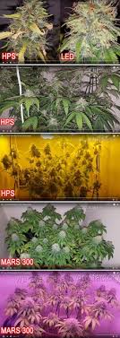 Best grow lights for a 2×4 grow tent; 22 Led Grow Light Best Buy Ideas Led Grow Led Grow Lights Grow Lights
