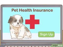 How To Care For A Shih Tzu Puppy 14 Steps With Pictures
