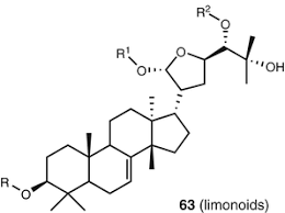 Caring.com offers a free service to help families find senior care. The Series Progress In The Chemistry Of Organic Natural Products 75 Years Of Service In The Development Of Natural Product Chemistry Springerlink