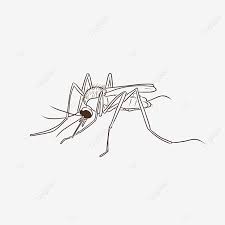 Gambar tayo kartun hitam putih download now gambar mewarnai tayo th. Gambar Bawang Nyamuk Nyamuk Serangga Perosak Clipart Nyamuk Siluet Nyamuk Nyamuk Png Dan Psd Untuk Muat Turun Percuma