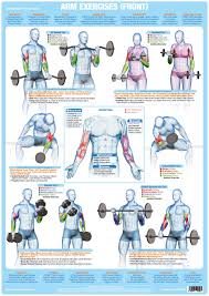 To get started, choose a muscle group either on the. Golf Swing Training Wall Chart Muscles During Golf Poster A3 Laminated For Sale Ebay