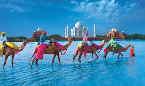 India Info Estero