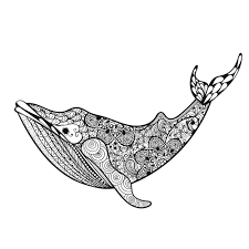 Select from 35919 printable crafts of cartoons, nature, animals, bible and many more. Killer Whale Coloring Page Kidspressmagazine Com