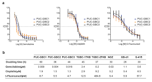 Check spelling or type a new query. Functional And Genomic Characterization Of Three Novel Cell Lines Derived From A Metastatic Gallbladder Cancer Tumor