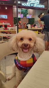 Where my fry lovers at 😋🤤🤤😋