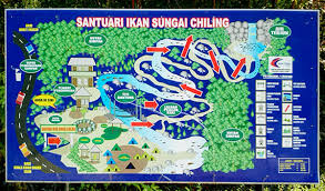 Look for the trailhead 13km east of kuala kubu bharu on federal rte 55, just a short distance past the selangor dam. Sungai Chiling Fish Sanctuary Kuala Kubu Bharu Selangor Gokelah