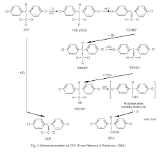 Ddt And Its Derivatives Ehc 9 1979