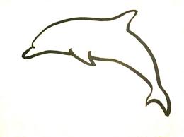 Dolphin Outline Dolphin Drawing Dolphins Dolphins Tattoo