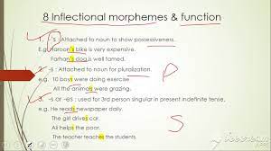 In these examples above each word is approximately a morpheme one that is, a unit or morpheme has one meaning. Inflectional And Derivational Morphemes With Examples Youtube