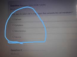 Which Part Of A Plant Cell Is Rigid Layer That Surrounds The Cell Membrane Brainly Com