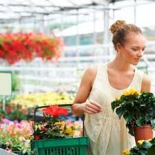 We did not find results for: Blumen Hamburg Floristik Fur Alle Anlasse Seit 1846 In Hamburg