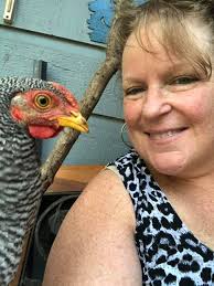 Is it too hot for 6 week old chicks to be outside in a protected run?