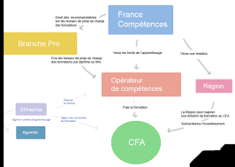 Votre Nouvel Interlocuteur Pour Les Contrats Les Opco