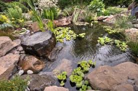 Lay Of The Landscape Cottage Garden Style Pond Landscaping Pond Design Ponds Backyard