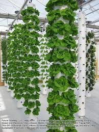 Vertical hydroponic tower garden system complete grow kit. Flickriver Most Interesting Photos Tagged With Hydroponics Vertical Vegetable Gardens Vertical Vegetable Garden Indoor Vegetable Gardening