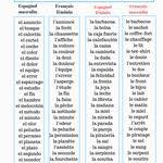 Epingle Sur Francais Espagnol