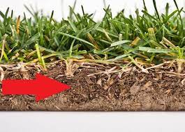 If you're going to dethatch, do so in spring. Why Dethatching Can Hurt Your Lawn Chippers Inc