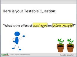 Scientific Method - How To Write A Testable Question Powerpoint | Tpt