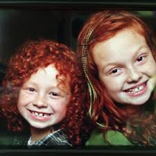 Toilet bowl cleaning brush and caddy made in Canada