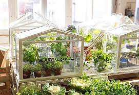 On ikea greenhouse cabinet guide. Ikea S Miniature Greenhouse Lets Anyone Create Their Own Indoor Garden