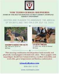 Finding toys strong enough for a german shepherd puppy can be difficult because gsd's can be. Vom Teero German Shepherds Puppies In Kentucky Pwg Petworldglobal Com