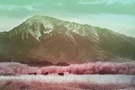 CamelBak: Do What Fills You Up — Dan Hlivka