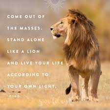 Pin On Osho