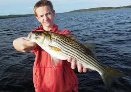 Explore an array of grand lake, ns, ca vacation rentals, including houses, & more bookable online. Grand Lake Fishing Charters Fall River 2021 All You Need To Know Before You Go Tours Tickets With Photos Tripadvisor